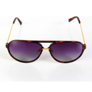 Óculos de Sol INVU Z1000B Ouro/Demi Unico – Masculino